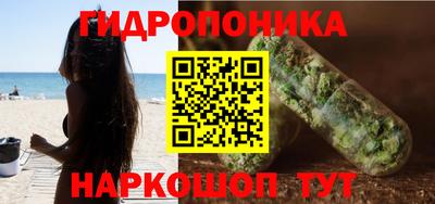 трава Кандалакша