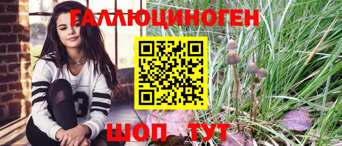 Галлюциногенные грибы Psilocybe  Тулун 