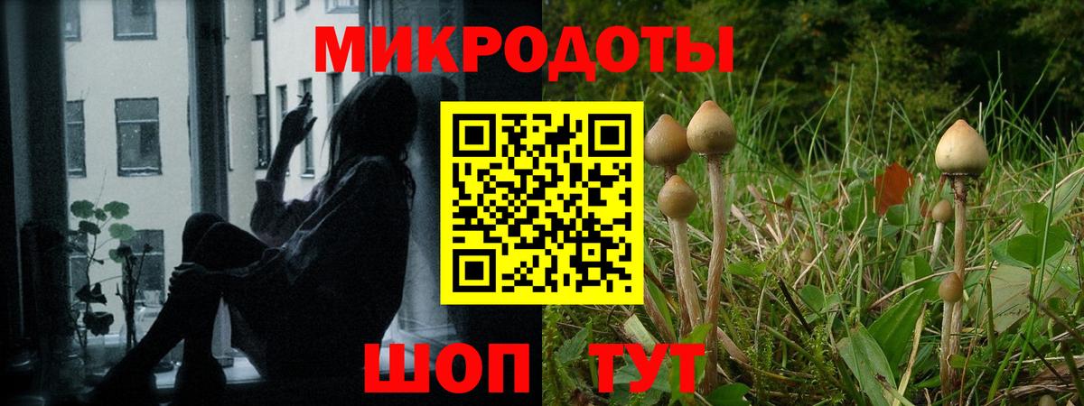 Псилоцибиновые грибы Psilocybe  Галлюциногенные грибы MAGIC MUSHROOMS  Тулун  Вход с VPN 