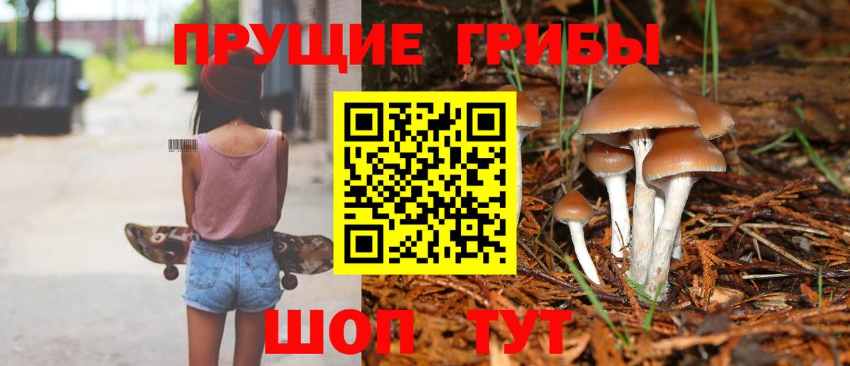 Меф кристаллы  Бошки Шишки  Вход с VPN  ГАШИШ  КОКАИН  Тулун  Бошки Шишки  ЭКСТАЗИ 